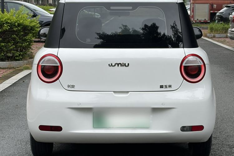 Used CHANGAN NEVO Lumin 2022 210km Sweet Edition Exterior 5