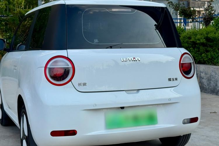 Used CHANGAN NEVO Lumin 2022 210km Sweet Edition Exterior 6