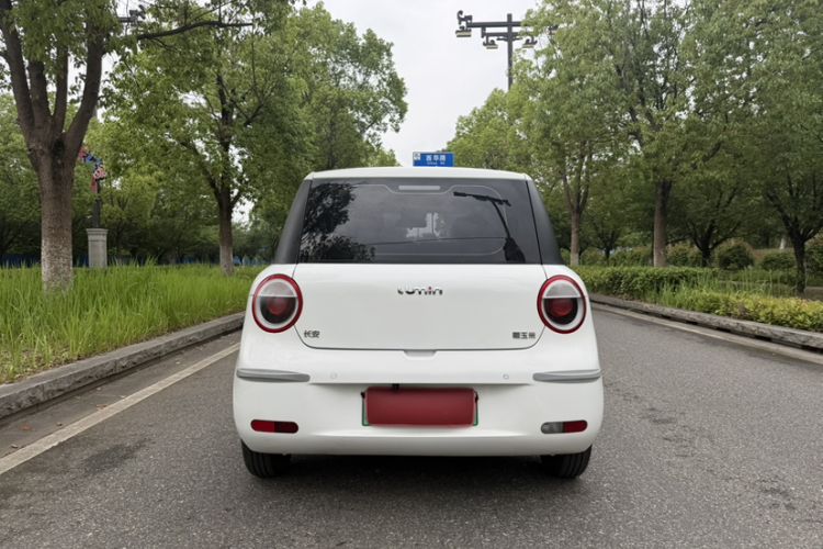 Used CHANGAN NEVO Lumin 2022 210km Sweet Edition Exterior 8