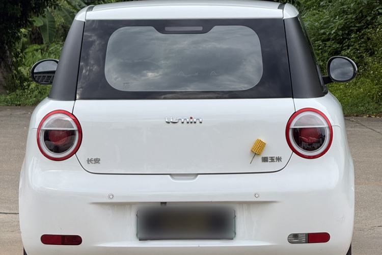 Used CHANGAN NEVO Lumin 2022 210km Sweet Edition Exterior 8