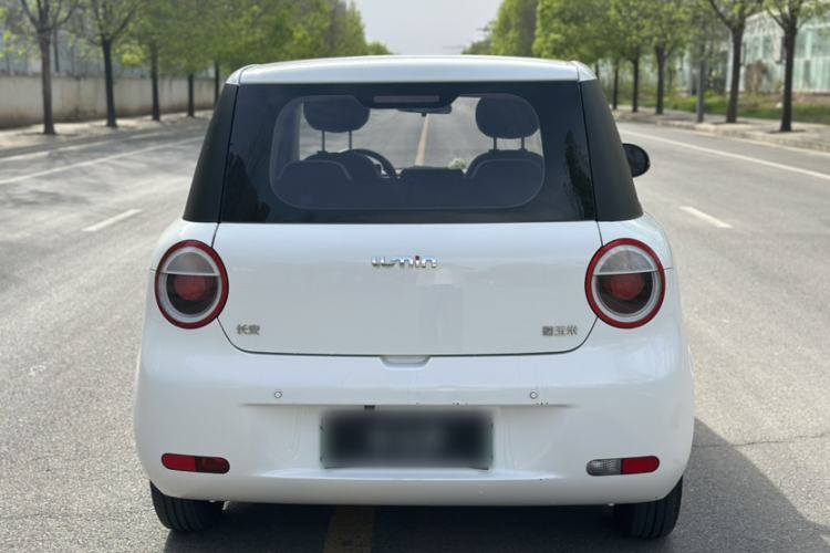 Used CHANGAN NEVO Lumin 2022 301km Honey-Sweet Version Exterior 9