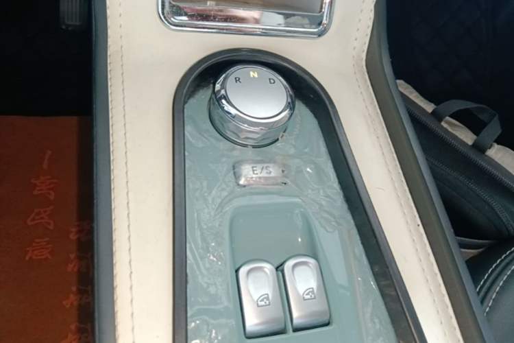 Used CHANGAN NEVO Lumin 2022 155 km – Refreshingly Sweet Edition Gear Lever