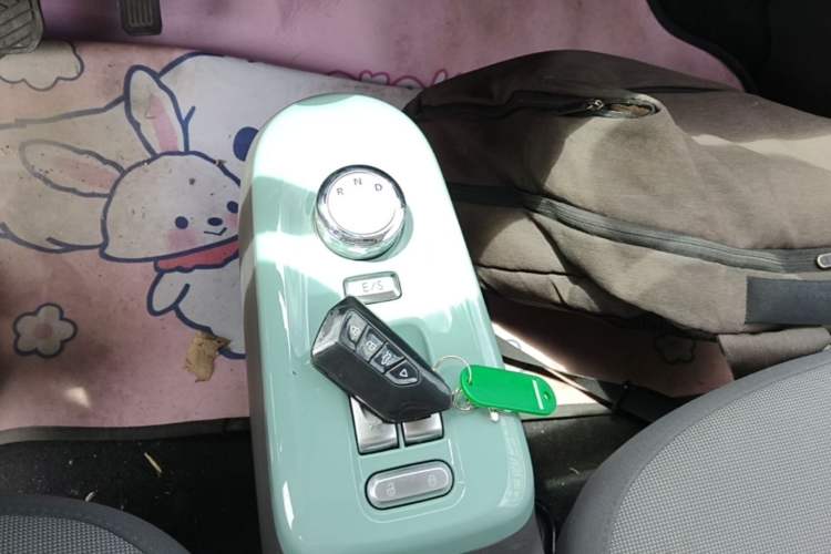 Used CHANGAN NEVO Lumin 2022 210km Sweet Edition Gear Lever
