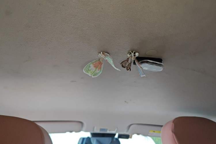 Used CHANGAN NEVO Lumin 2022 210km Sweet Edition Headliner