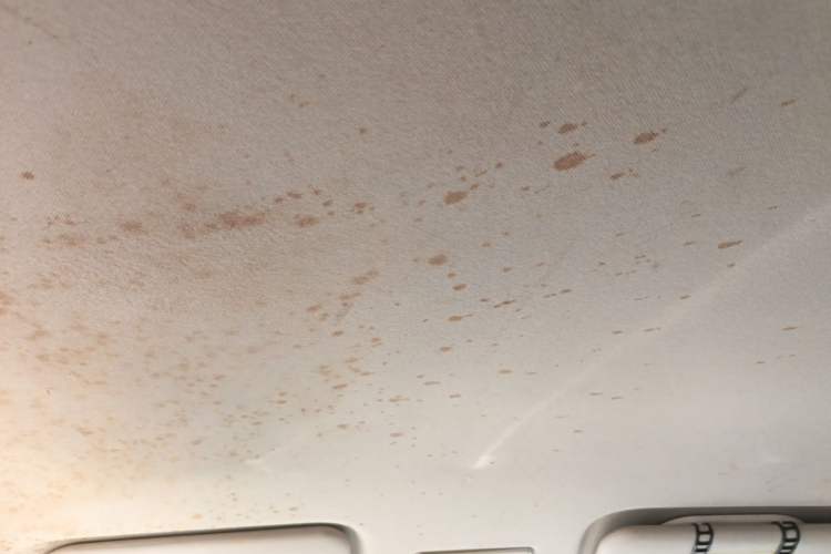 Used CHANGAN NEVO Lumin 2022 210km Sweet Edition Headliner