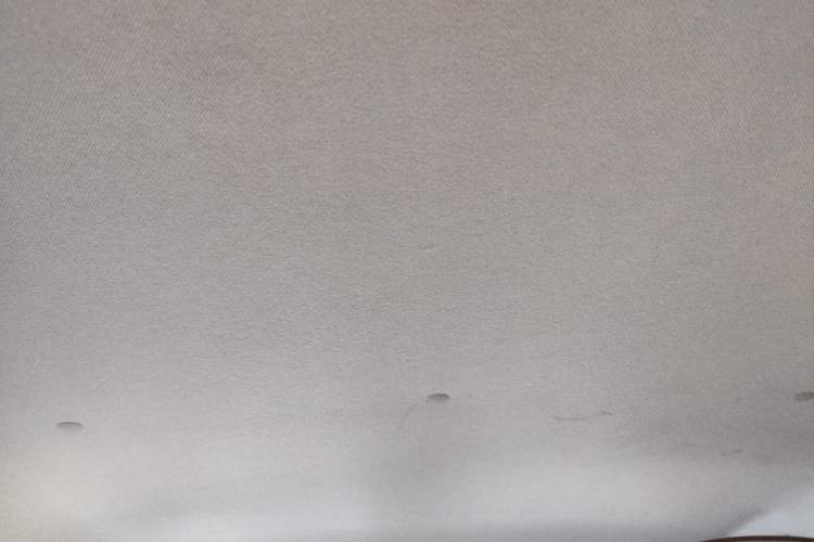Used CHANGAN NEVO Lumin 2022 210km Sweet Edition Headliner