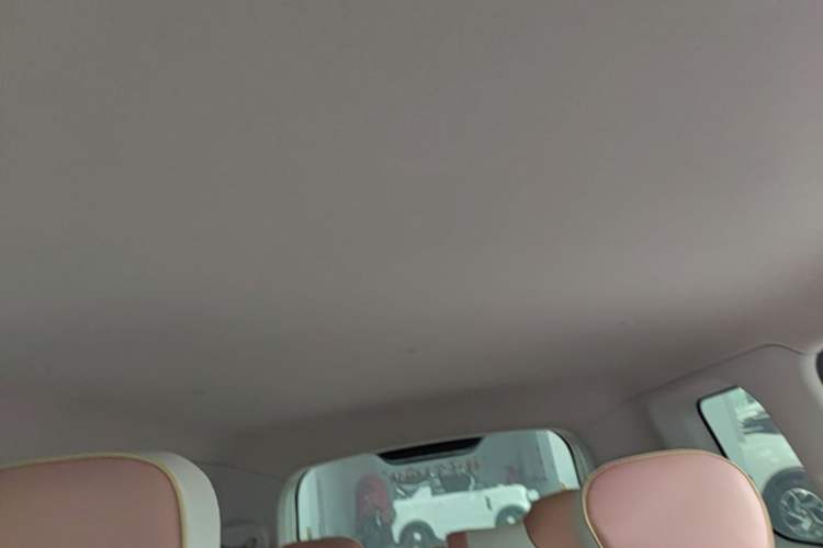 Used CHANGAN NEVO Lumin 2022 210km Sweet Edition Headliner