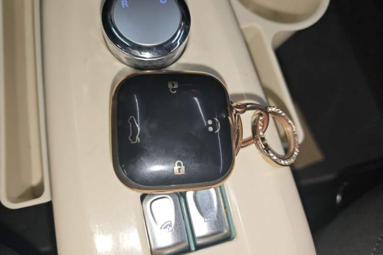 Used CHANGAN NEVO Lumin 2022 210km Sweet Edition Interior 1