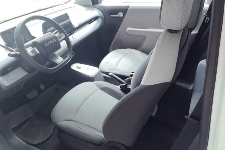 Used CHANGAN NEVO Lumin 2022 210km Sweet Edition Left Front Seat