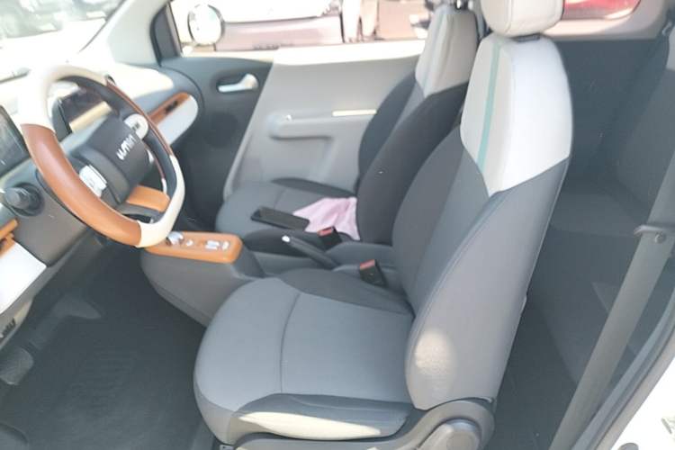 Used CHANGAN NEVO Lumin 2022 210km Sweet Edition Left Front Seat