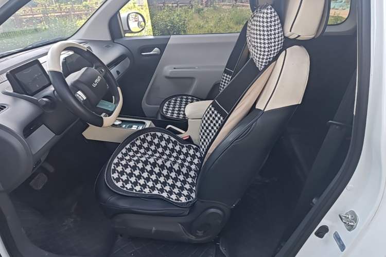 Used CHANGAN NEVO Lumin 2022 210km Sweet Edition Left Front Seat
