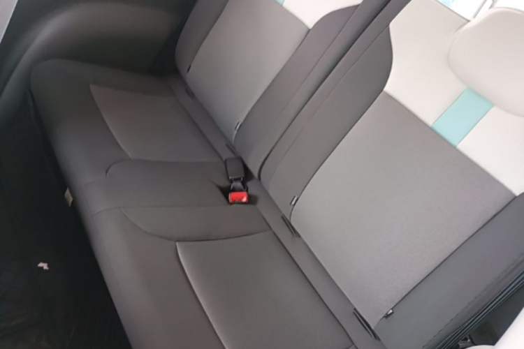 Used CHANGAN NEVO Lumin 2022 210km Sweet Edition Left Rear Seat