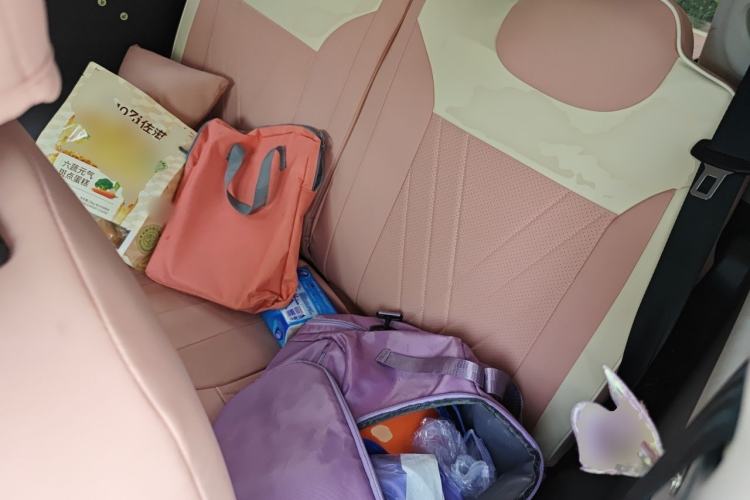 Used CHANGAN NEVO Lumin 2022 210km Sweet Edition Left Rear Seat