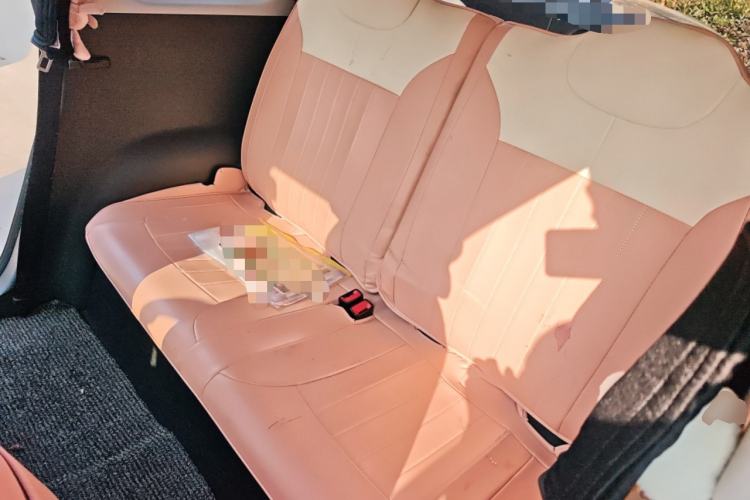 Used CHANGAN NEVO Lumin 2022 210km Sweet Edition Left Rear Seat