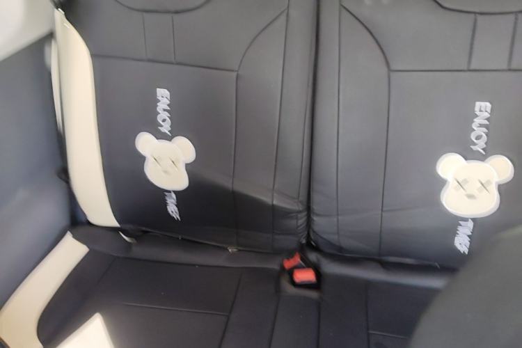 Used CHANGAN NEVO Lumin 2022 210km Sweet Edition Left Rear Seat