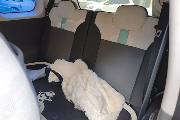 Used CHANGAN NEVO Lumin 2022 155 km – Refreshingly Sweet Edition Left Rear Seat