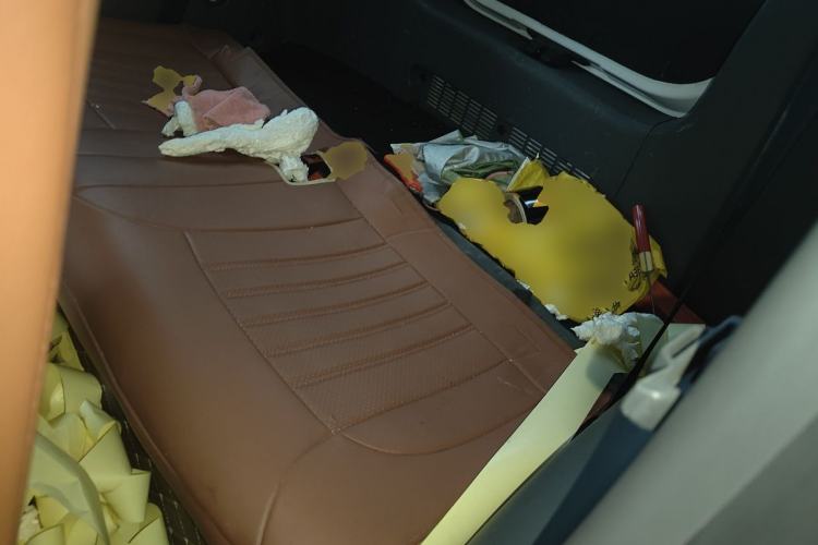 Used CHANGAN NEVO Lumin 2022 301km Honey-Sweet Version Left Rear Seat