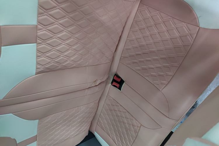 Used CHANGAN NEVO Lumin 2022 210km Sweet Edition Left Rear Seat