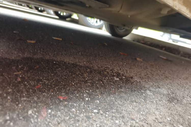 Used CHANGAN NEVO Lumin 2022 155 km – Refreshingly Sweet Edition Left Side Sill