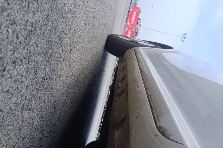 Used CHANGAN NEVO Lumin 2022 155 km – Refreshingly Sweet Edition Left Side Sill