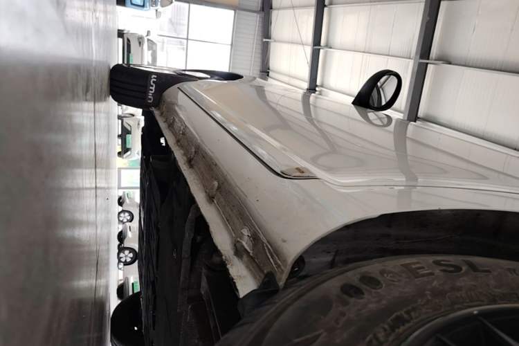 Used CHANGAN NEVO Lumin 2022 155 km – Refreshingly Sweet Edition Left Side Sill