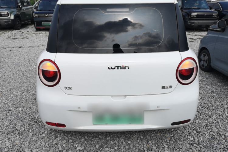 Used CHANGAN NEVO Lumin 2022 301km Honey-Sweet Version Rear