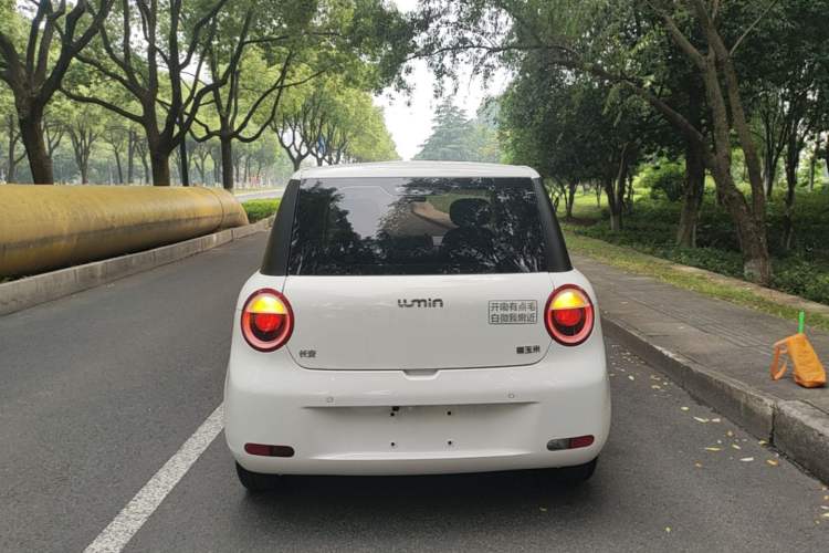 Used CHANGAN NEVO Lumin 2022 210km Sweet Edition Rear