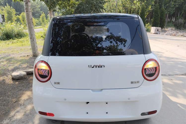 Used CHANGAN NEVO Lumin 2022 210km Sweet Edition Rear
