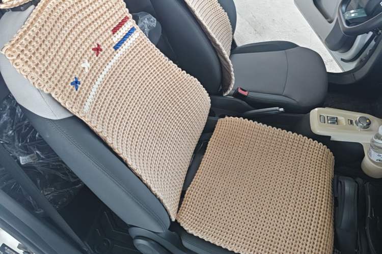 Used CHANGAN NEVO Lumin 2022 301km Honey-Sweet Version Right Front Seat