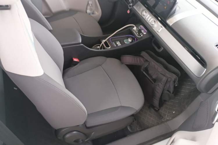 Used CHANGAN NEVO Lumin 2022 210km Sweet Edition Right Front Seat