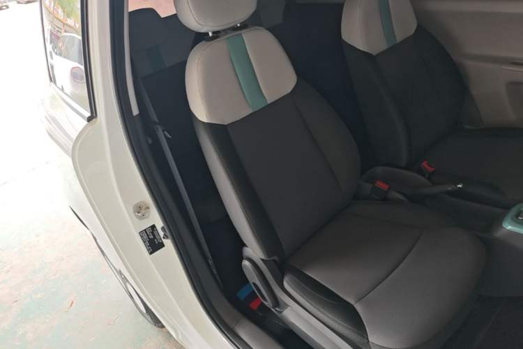 Used CHANGAN NEVO Lumin 2022 210km Sweet Edition Right Front Seat