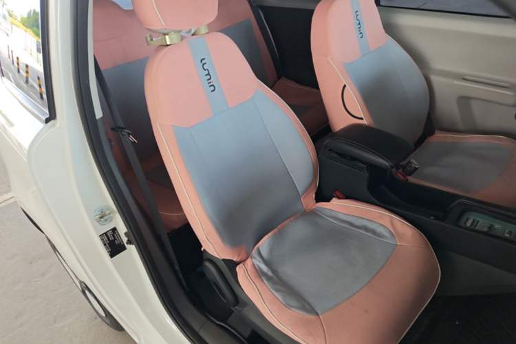 Used CHANGAN NEVO Lumin 2022 210km Sweet Edition Right Front Seat