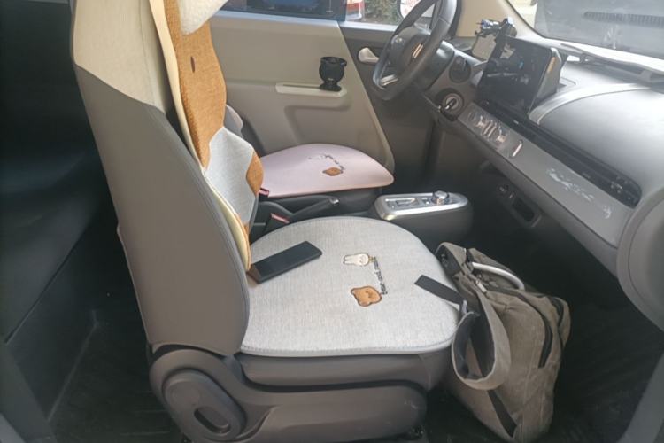 Used CHANGAN NEVO Lumin 2022 155 km – Refreshingly Sweet Edition Right Front Seat