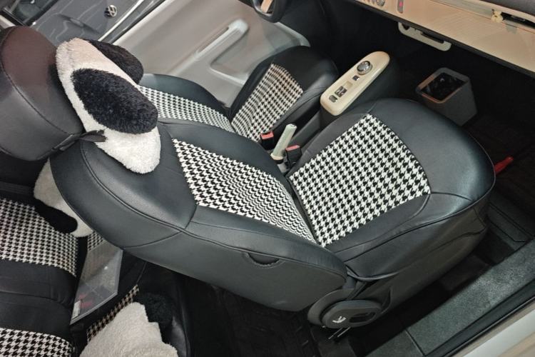 Used CHANGAN NEVO Lumin 2022 210km Sweet Edition Right Front Seat