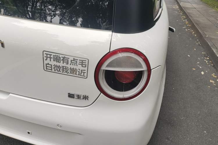 Used CHANGAN NEVO Lumin 2022 210km Sweet Edition Right Rear Taillight