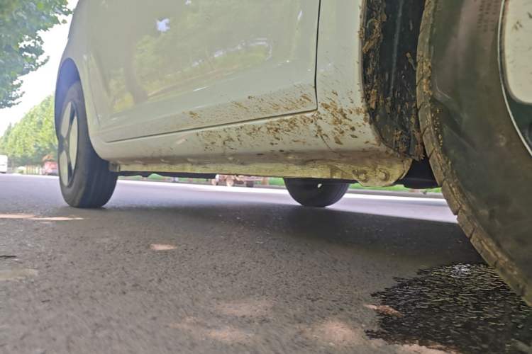 Used CHANGAN NEVO Lumin 2022 155 km – Refreshingly Sweet Edition Right Side Sill