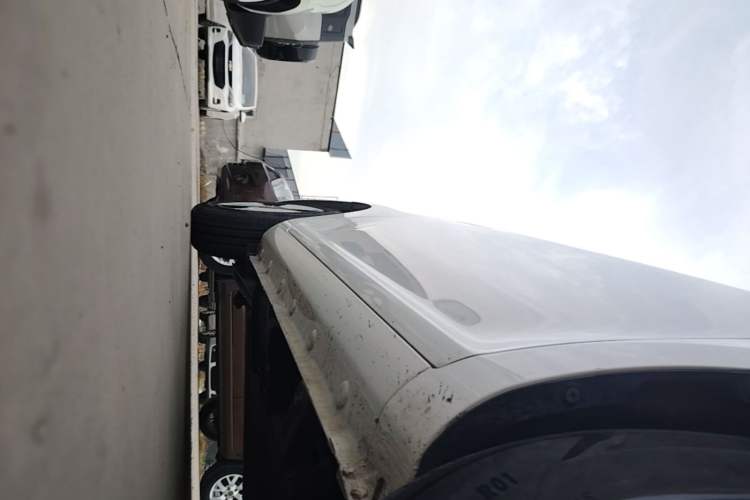 Used CHANGAN NEVO Lumin 2022 155 km – Refreshingly Sweet Edition Right Side Sill