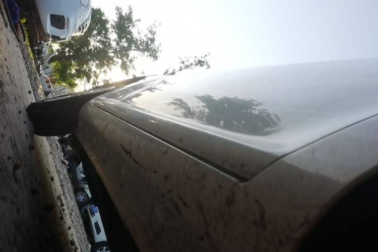 Used CHANGAN NEVO Lumin 2022 155 km – Refreshingly Sweet Edition Right Side Sill