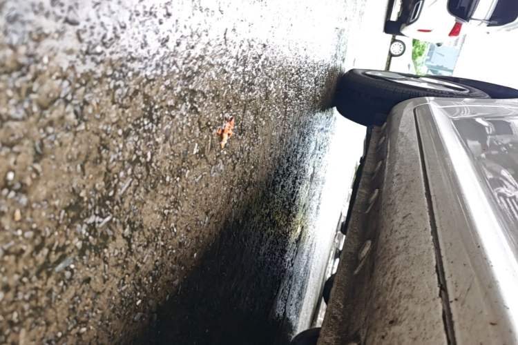 Used CHANGAN NEVO Lumin 2022 210km Sweet Edition Right Side Sill