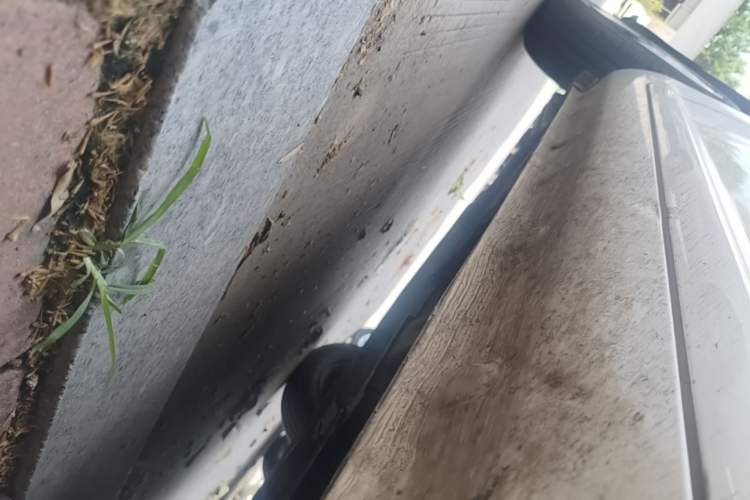 Used CHANGAN NEVO Lumin 2022 155 km – Refreshingly Sweet Edition Right Side Sill