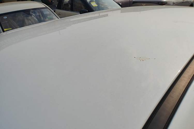 Used CHANGAN NEVO Lumin 2022 155 km – Refreshingly Sweet Edition Roof
