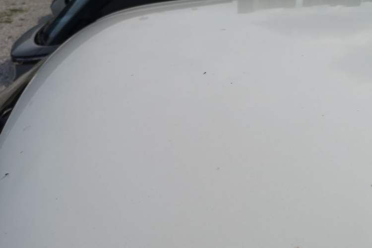 Used CHANGAN NEVO Lumin 2022 301km Honey-Sweet Version Roof