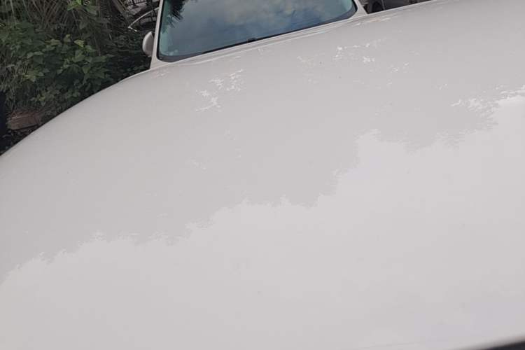 Used CHANGAN NEVO Lumin 2022 210km Sweet Edition Roof