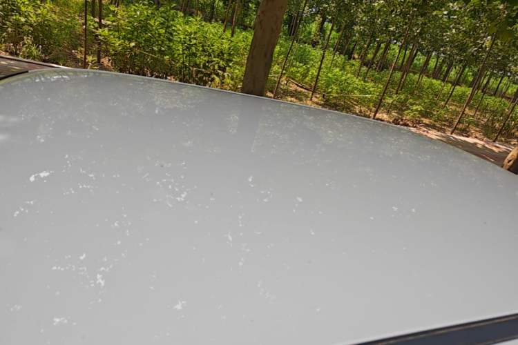 Used CHANGAN NEVO Lumin 2022 155 km – Refreshingly Sweet Edition Roof