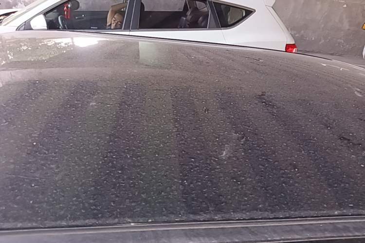 Used CHANGAN NEVO Lumin 2022 210km Sweet Edition Roof