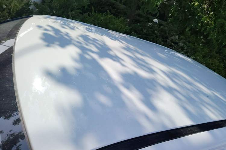 Used CHANGAN NEVO Lumin 2022 155 km – Refreshingly Sweet Edition Roof