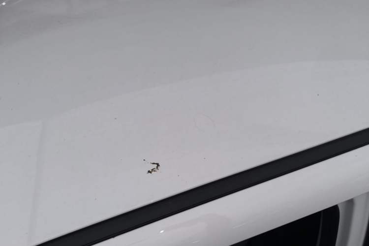 Used CHANGAN NEVO Lumin 2022 210km Sweet Edition Roof