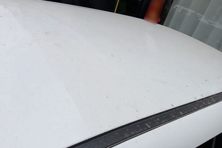 Used CHANGAN NEVO Lumin 2022 210km Sweet Edition Roof