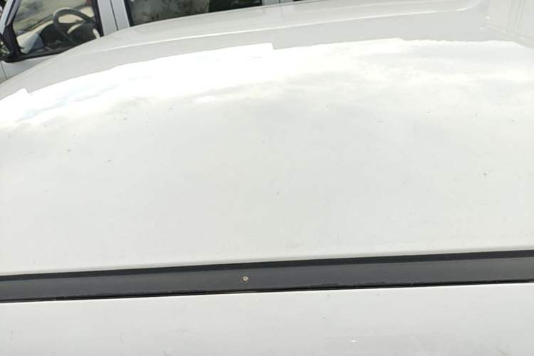Used CHANGAN NEVO Lumin 2022 210km Sweet Edition Roof