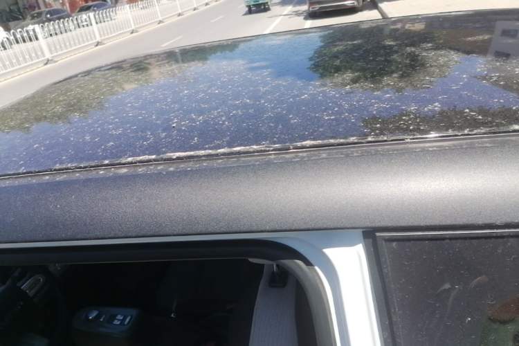 Used CHANGAN NEVO Lumin 2022 155 km – Refreshingly Sweet Edition Roof